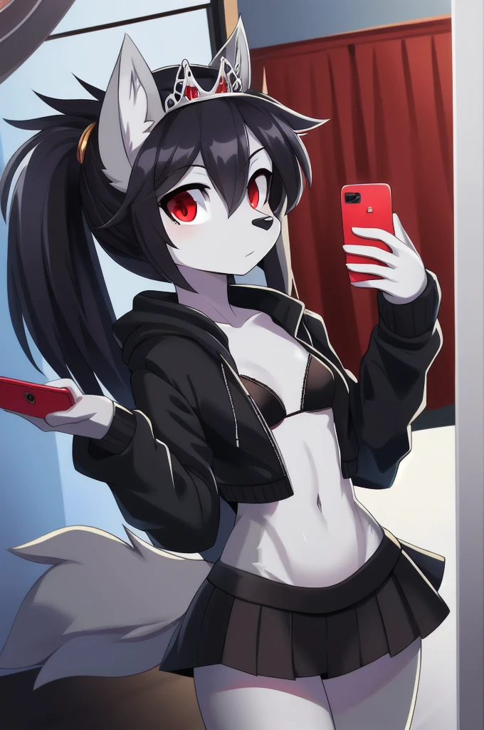 furry girl, wolf, black hair, punk hairstyle, long spiky ponytail, anime style, small breasts, red eyes, ((black hoodie jacket, open clothes, black bikini, black skirt, princess tiara)), high quality, detailed body, detailed eyes, detailed face, masterpiece, glistening body, detailed body fur, best quality, two tone body, gray fur, clear gray fur, perfect lighting, perfect shadows, perfect eyes, perfect hair, perfect face, gorgeous body, room, mirror, selfie, holding a phone,