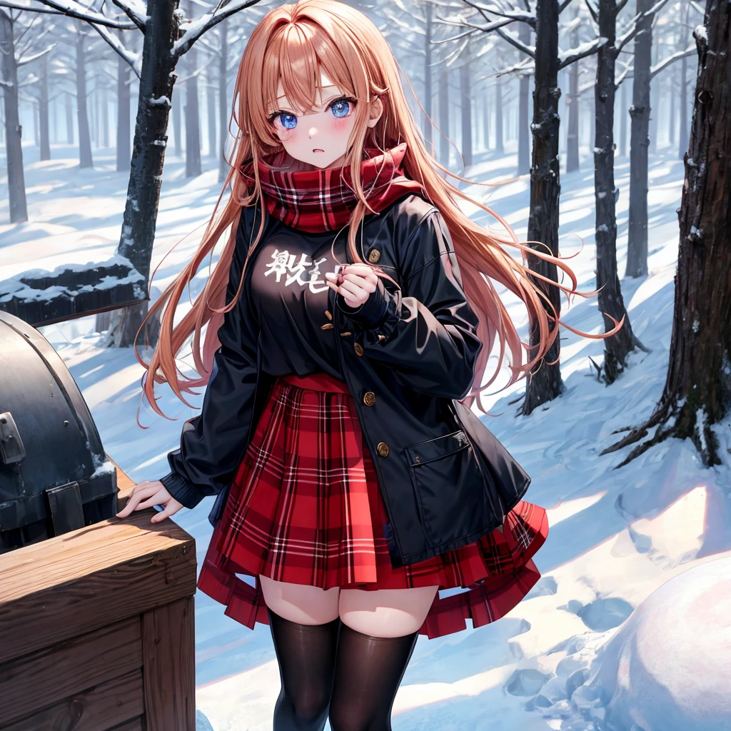 red blonde、blue eyess、one good looking girl、独奏、animesque、Plaid miniskirt、Black T-shirt、coat、the woods、Sunlight、Looks cold、Snow is piled up、kicking snow、Wearing a muffler、Gah、Rime、Frolicking