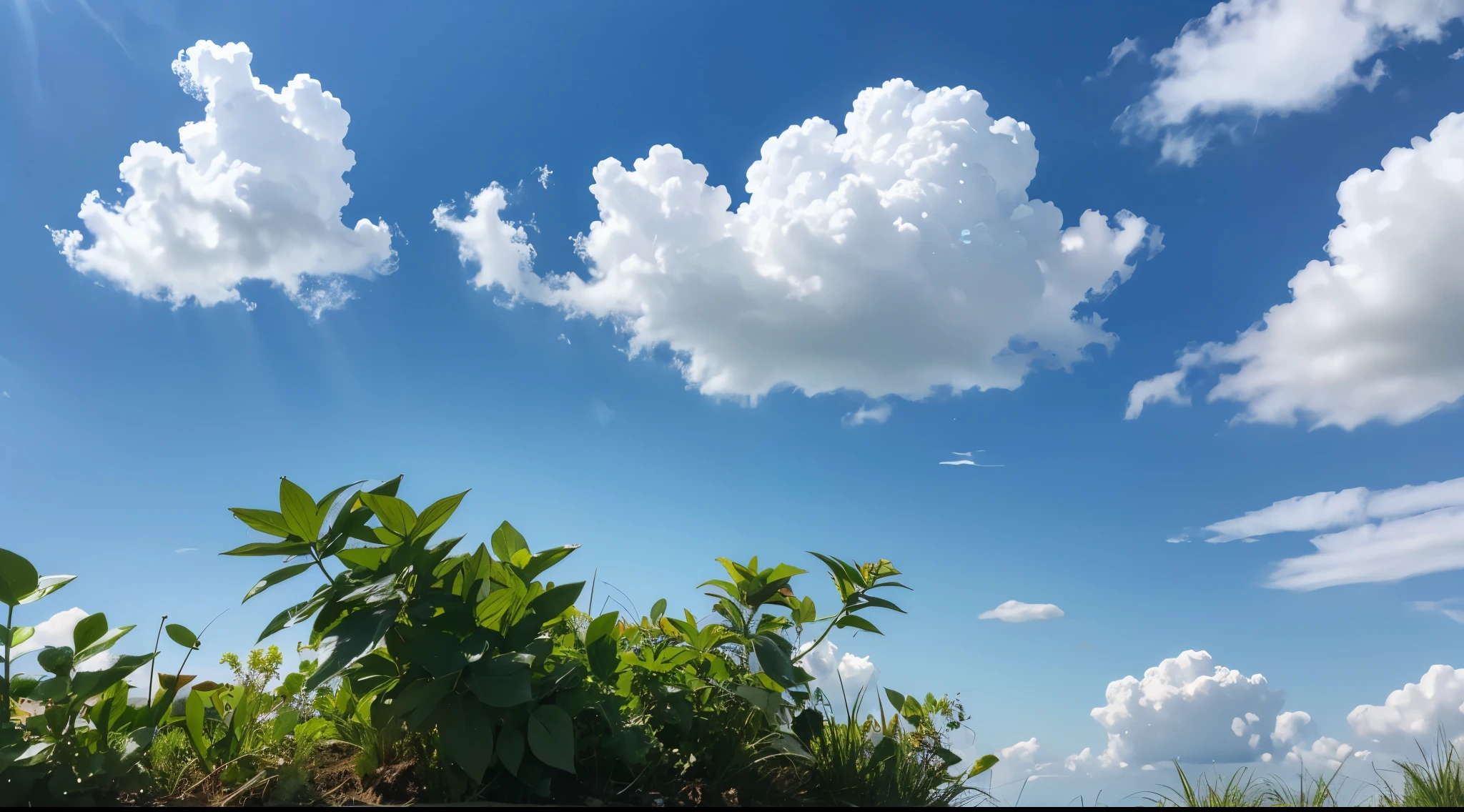 The upper part of the picture is blue sky and white clouds（Look better），The lower part is a plant sprouting，zoomed，with details，Raindrops fall on the plants，The content is very detailed