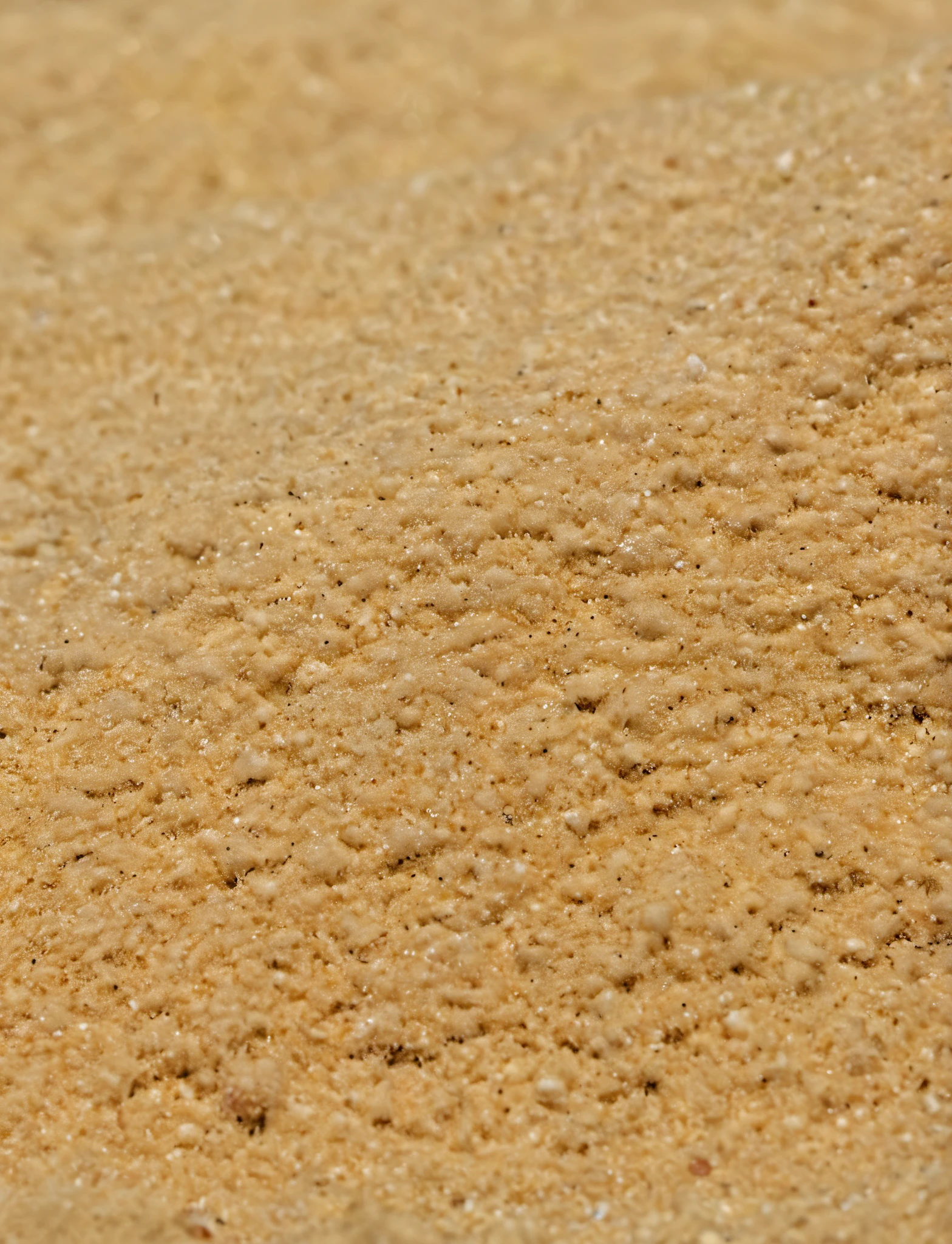 An extremely close-up, zoomed, inside sand