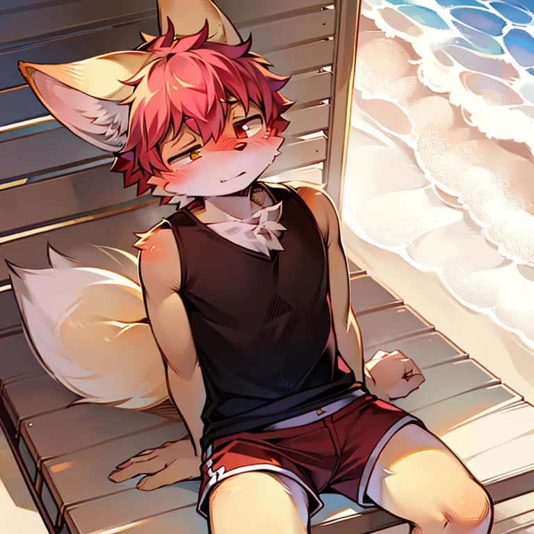 loveable guy, Fennec, in cherry-colored shorts sitting on the beach with a shy expression on his face, Flushed, adult, Fine lines, light falls on the character