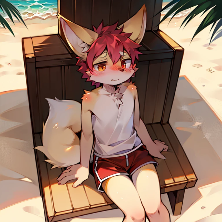 loveable guy, Fennec, in cherry-colored shorts sitting on the beach with a shy expression on his face, Flushed, adult, Fine lines, light falls on the character