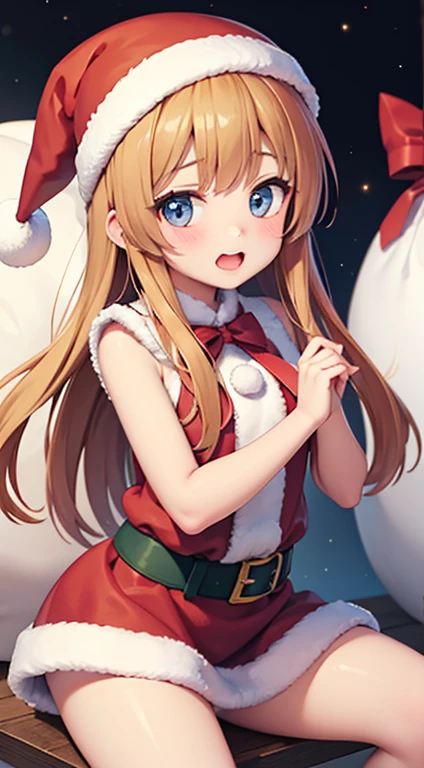 A cute becomes Santa Claus