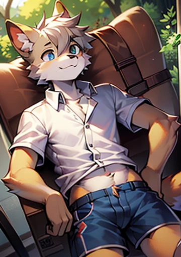 bright eyes, panorama, character focus solo, furry, furry male cat, male yellow-white fur, blue eyes, gray hair (long), wearing blue shorts and shorts, casual clothing, young style, height one meter seven, handsome, has a tail,unbuttoned shirt, visible belly, unbuttoned fly