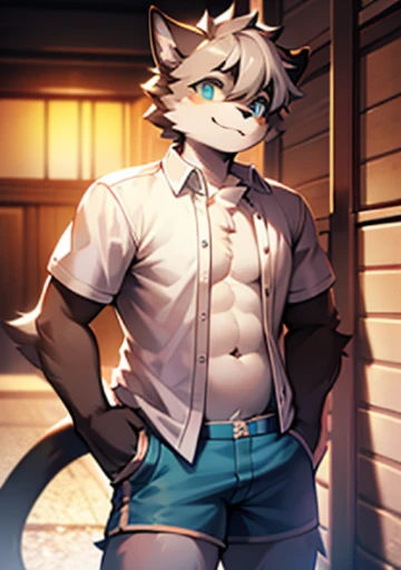 bright eyes, panorama, character focus solo, furry, furry male cat, male yellow-white fur, blue eyes, gray hair (long), wearing blue shorts and shorts, casual clothing, young style, height one meter seven, handsome, has a tail,unbuttoned shirt, visible belly and male chest, unbuttoned fly