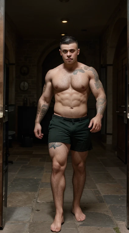 Harry Potter, , mohawk haircut, black hair, intense green eyes fixed, intense gaze, affiliated features, no facial hair, height 1.93, weight 90 kg, muscular and corpulent build, broad shoulders, V-shaped body, sleeves tattoos, full body focus, completely hairless,