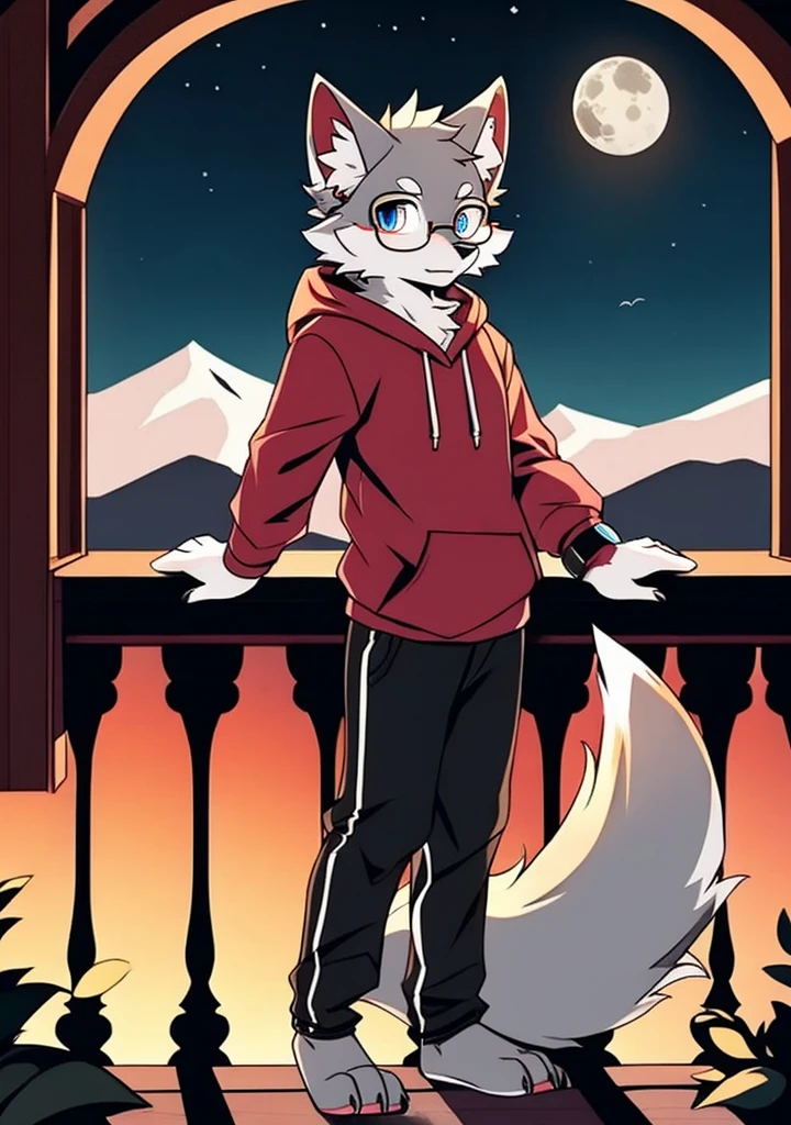 solo, wolf, furry male, , tall, dark gray color fur, short hair, light gray color ear roots, red color ear tips, deep blue color eyes, wolf tail, white color tail tips, white arms, blue hoodie, short sleeves, black trousers, glasses, wrist watch, stand, night, dark sky, large open balcony, distant mountains, modern city, dark sky, full moon, close up, full body, detailed character, handsome