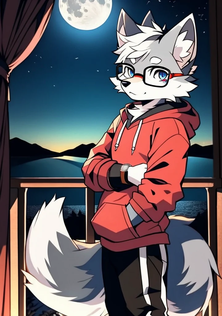 solo, wolf, furry male, , tall, dark gray color fur, short hair, light gray color ear roots, red color ear tips, deep blue color eyes, wolf tail, white color tail tips, white arms, hoodie, short sleeves, black trousers, glasses, wrist watch, stand, night, dark sky, large open balcony, distant mountains, modern city, dark sky, full moon, close up, full body, detailed character, handsome