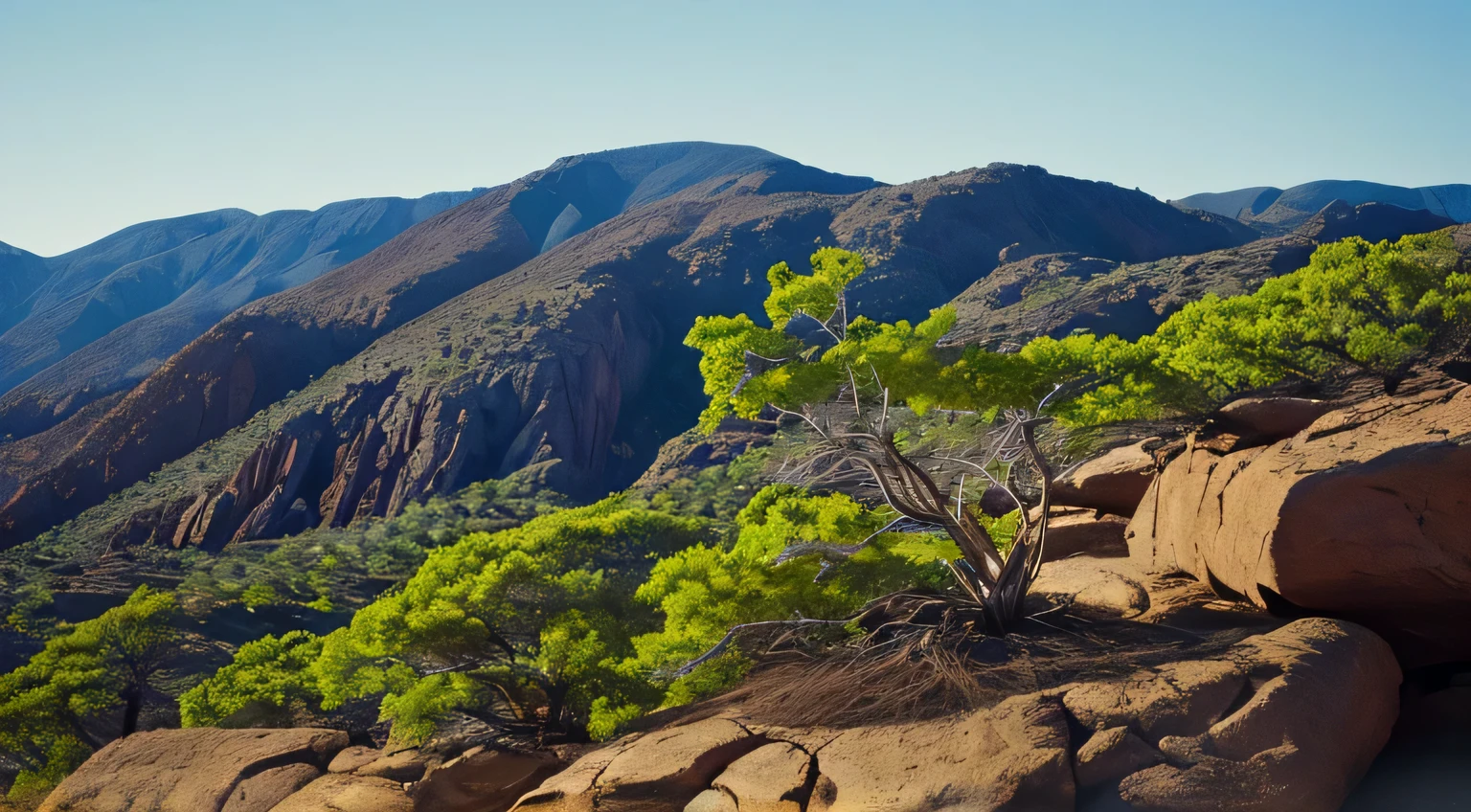 Design an image of a resilient plant growing amidst rocky terrain. Use bold, contrasting colors to signify strength emerging from adversity, with roots firmly anchored in the foundation.