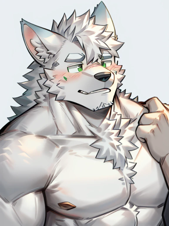 the only person,hairy pubic,Human biology,Male white wolf,grey fur,Gray tail,White ear bleeding - green eyes,Muscle tissue,male people,Raised sexy,(The hairy pubic feeling of animal ears),Intimate partull bodyesbian