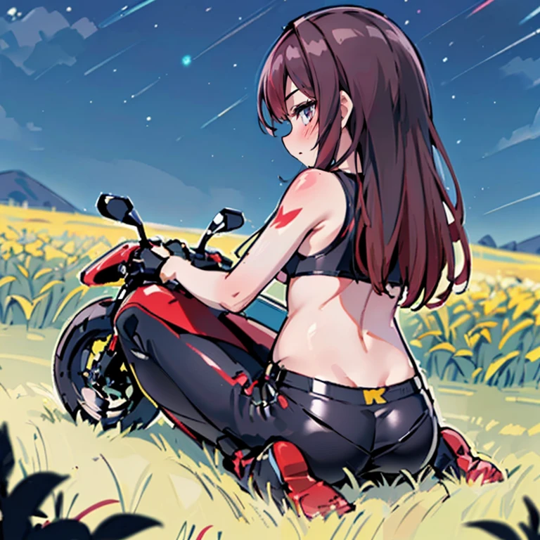 arte por dagasi,(best quality,4k,Altas,master part:1.2), (Back view:1.3), (Hairy girl sitting on a motorcycle in a field at night:1.5), wearing shorts and a bikini top, papel de parede, Very detailed, Ultra Definition, (vivid colors:1.1), (foco nítido:1.1), (Physically-based rendering:1.1), (extreme detail description:1.1), (Bokeh:1.1).