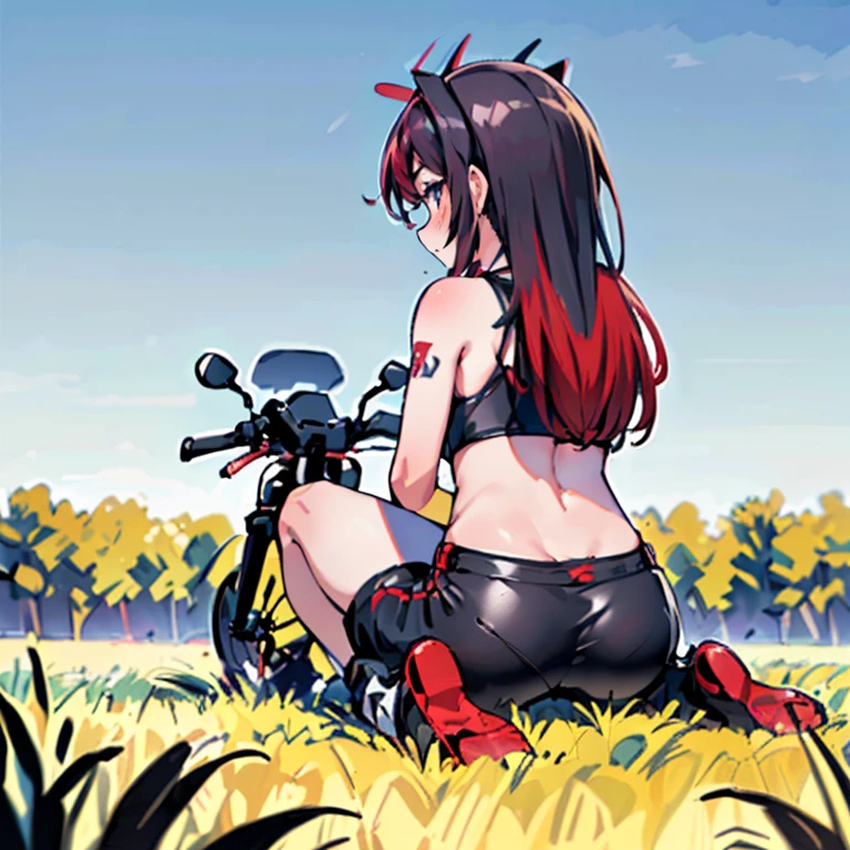 arte por dagasi,(best quality,4k,Altas,master part:1.2), (Back view:1.3), (Hairy girl sitting on a motorcycle in a field at night:1.5), wearing shorts and a bikini top, papel de parede, Very detailed, Ultra Definition, (vivid colors:1.1), (foco nítido:1.1), (Physically-based rendering:1.1), (extreme detail description:1.1), (Bokeh:1.1).