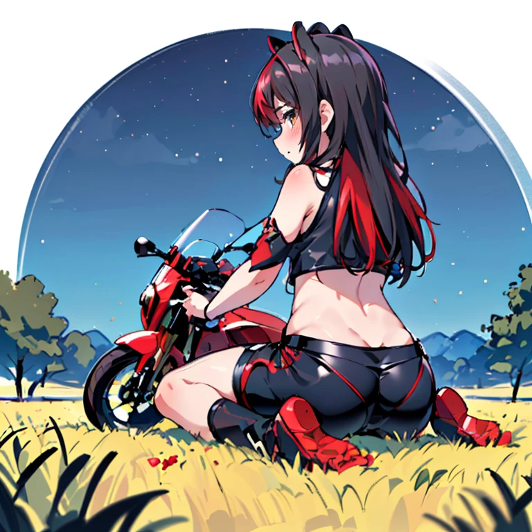 arte por dagasi,(best quality,4k,Altas,master part:1.2), (Back view:1.3), (Hairy girl sitting on a motorcycle in a field at night:1.5), wearing shorts and a bikini top, papel de parede, Very detailed, Ultra Definition, (vivid colors:1.1), (foco nítido:1.1), (Physically-based rendering:1.1), (extreme detail description:1.1), (Bokeh:1.1).