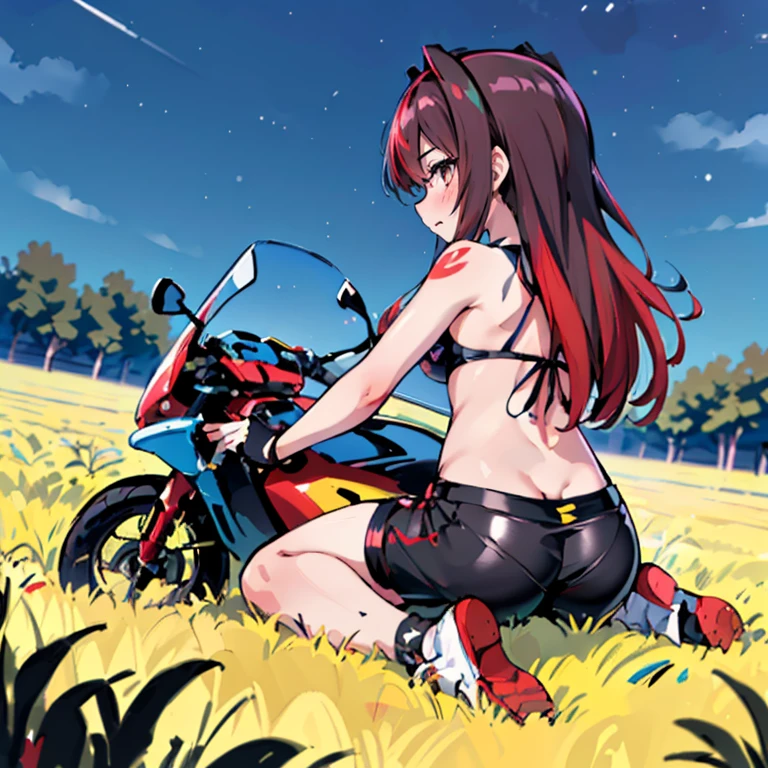 arte por dagasi,(best quality,4k,Altas,master part:1.2), (Back view:1.3), (Hairy girl sitting on a motorcycle in a field at night:1.5), wearing shorts and a bikini top, papel de parede, Very detailed, Ultra Definition, (vivid colors:1.1), (foco nítido:1.1), (Physically-based rendering:1.1), (extreme detail description:1.1), (Bokeh:1.1).