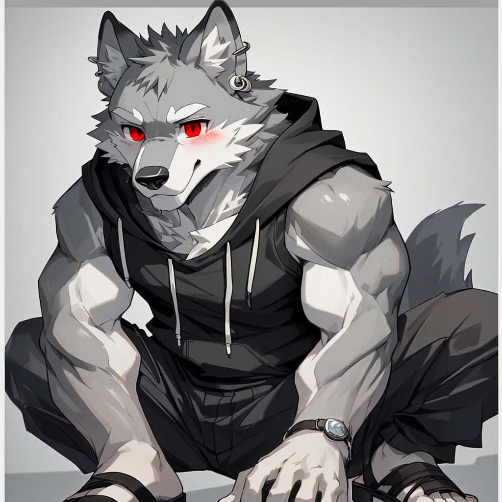 Solo, gray wolf, muscular, blush (sigh), pleasant expression, red eyes, black tank top hoodie, black sandals, black fingerless gloves, silver earrings, (two in left ear), detailed eyes, detailed face, simple gray and white (border) background (gray,white, 1:2), 4K,