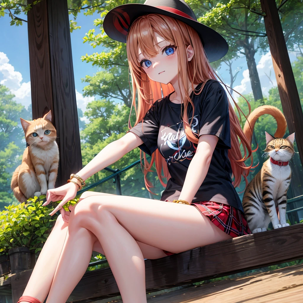 red blonde、blue eyess、one good looking girl、独奏、animesque、Plaid miniskirt、Black T-shirt、camisole、the woods、Sunlight、sitting on、wearing hat、bare-legged、cute bracelet、tilting the head、Holding a cat