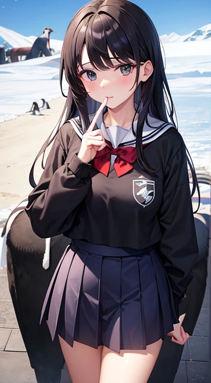 16yo girl,JK school uniform,vred,Blocking the penguin behind him with his hand,protect penguins,South Pole,On the glacier