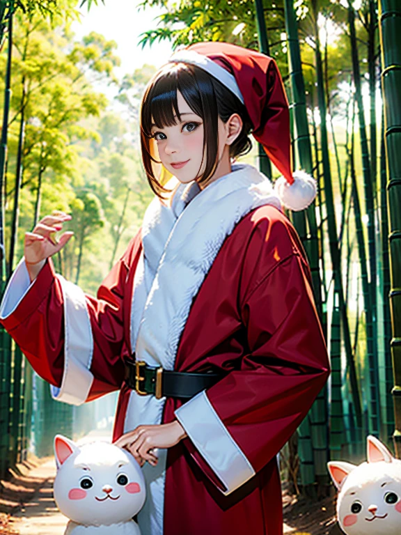 santa,bamboo forrest,Yuki