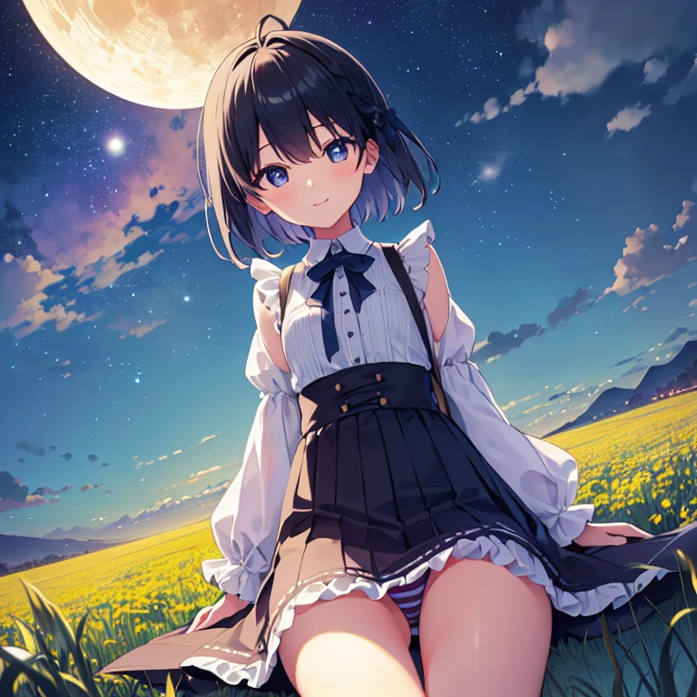 (sitting on tree, skirt lift:1.5, m-shaped spreading legs:1.5, stripe panties:1.5, smile, happy, pov, from below, ), (masterpiece, Best Quality,Illustration, Wallpaper, Ultra Detail, absurderes), 1little girl, (Medium short hair、short braided hair), Beautiful ultra-detailed eyes , Hair fluttering in the wind、:O、Smaller head、Beautiful night sky、(a panoramic view:1.5)