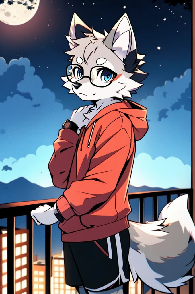 solo, wolf, furry male, tall, dark gray color fur, short hair, light gray color ear roots, red color ear tips, deep blue color eyes, wolf tail, white color tail tips, white arms, long-billed, light blue color hoodie, short sleeves, black shorts, glasses, wrist watch, stand, night, dark sky, large open balcony, distant mountains, modern city, dark sky, full moon, close up, full body, detailed character, depth of field