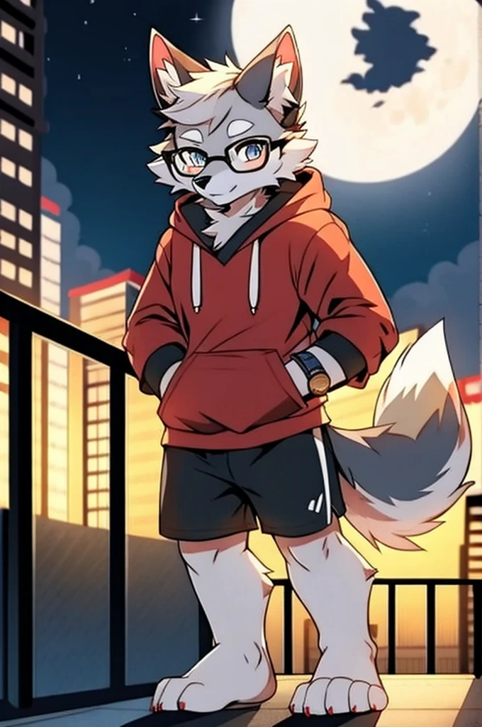 solo, wolf, furry male, tall, dark gray color fur, short hair, light gray color ear roots, red color ear tips, deep blue color eyes, wolf tail, white color tail tips, white arms, long-billed, light blue color hoodie, short sleeves, black shorts, glasses, wrist watch, stand, night, dark sky, large open balcony, distant mountains, modern city, dark sky, full moon, close up, full body, detailed character, depth of field