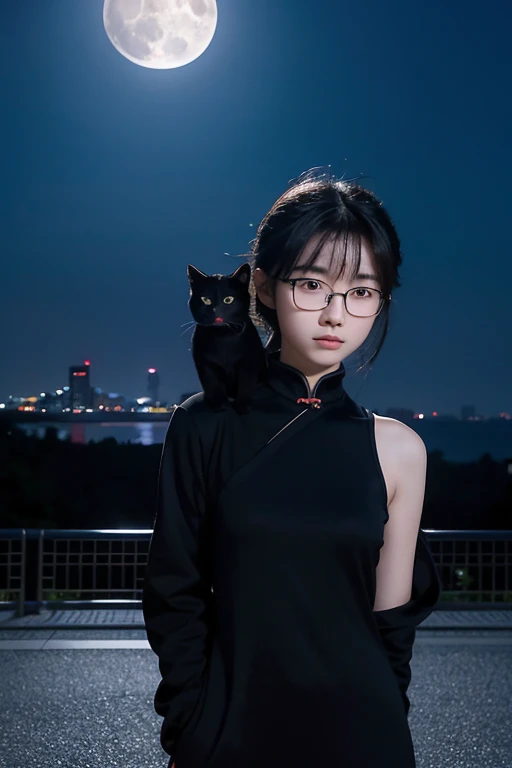 16-year-old Chinese female high school student，wears glasses，Thin，Full body photo，A black cat stands on my shoulder，There is a full moon behind，The background is the city of the future，cinematic Film still from，hyper HD，extreme hight detail，Laika，dingdall effect