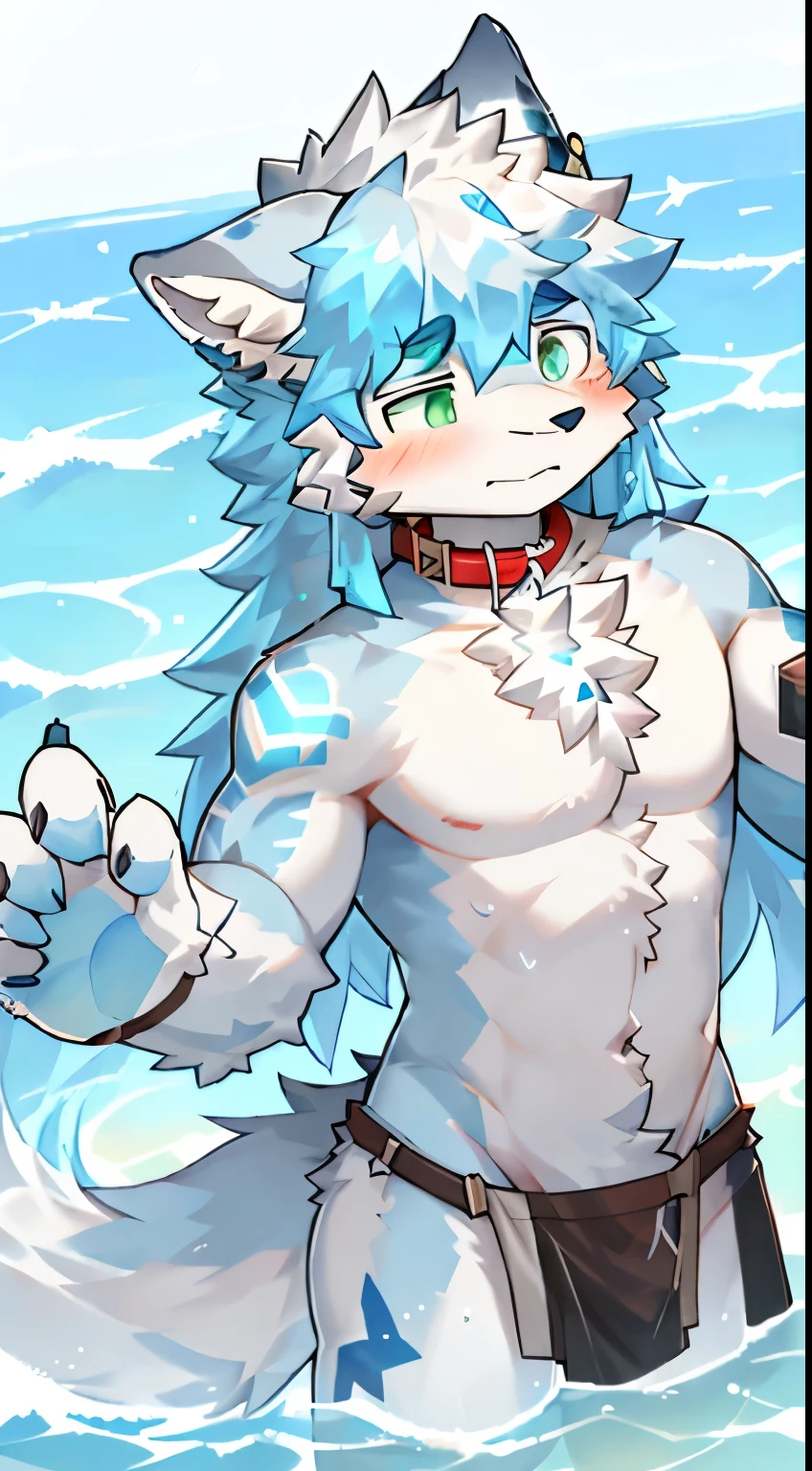 hairy pubic,Human biology,Male white wolf,grey fur,Gray tail,White ear bleeding - green eyes,Muscle tissue,male people,(The hairy pubic feeling of animal earull bodyesbian,Blue pick dye,is shy,Collar,Transparent swimming trunklue tattoo, crystal tattoo,Bare thighs,wave tattoo,Positive view,Long hair,Loincloth