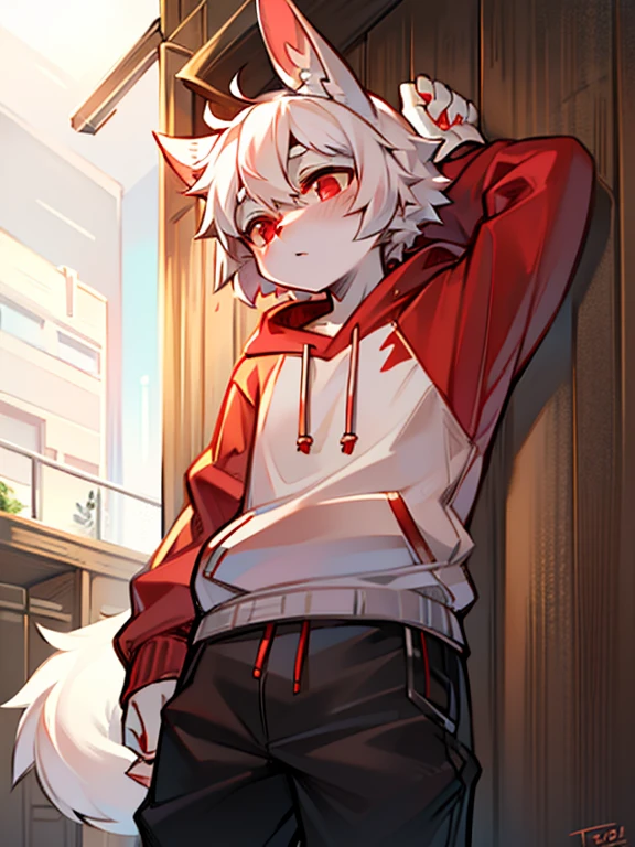 Libido boy, edgBunny, Ears drooping,White fur,red highlighter,Young person, red eyes, messy hair, White hair, Short hair details, tmasterpiece, The content is very detailed, casual sweatshirt,shorter pants