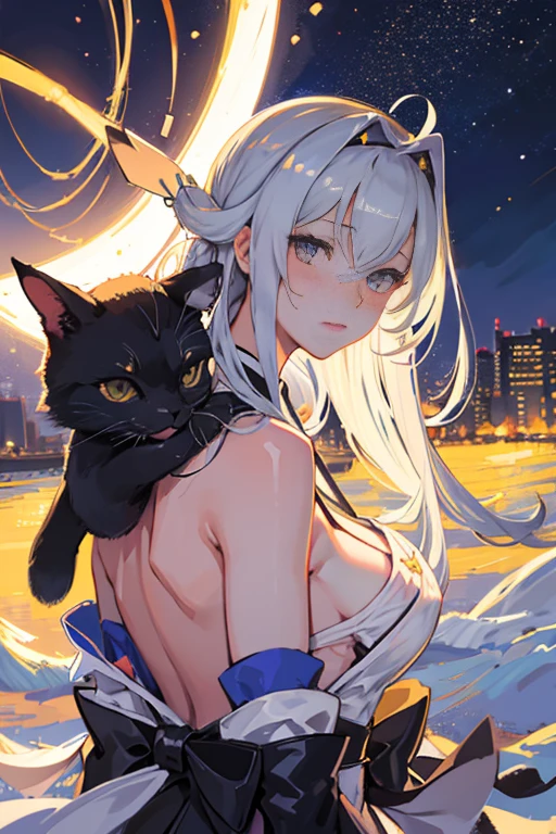 hyper detailed, perfect anatomy, extremely detailed and delicate, 1 girl, shimakaze(kancolle), 1 black cat, night sky, stars, milkyway, hugging a black cat,