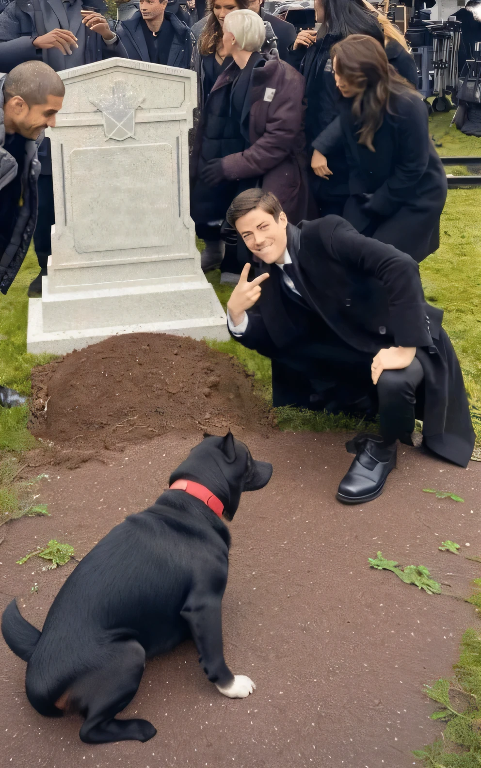 a dog is taking photo