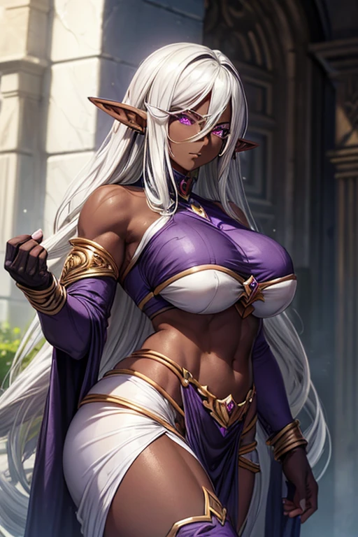 ((Elf Woman)), ((((Dark Skin)))), (((dale silver hair))), ((Purple Eyes)), ((bulky body)), (((Big breasts)))