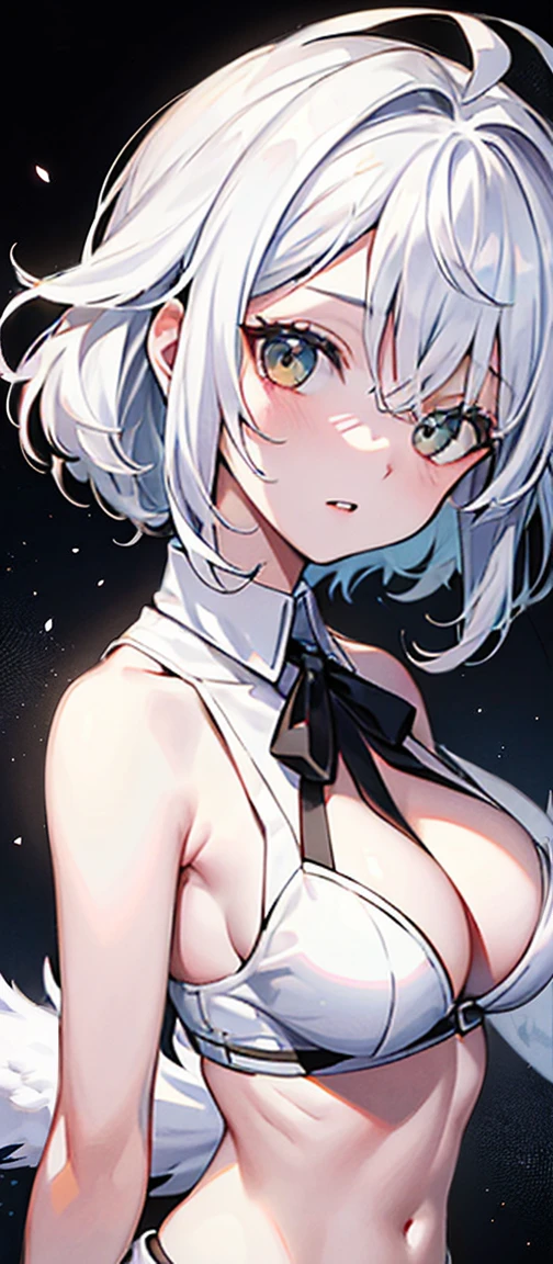 ((Best quality at best, 8K, tmasterpiece: 1.3)), Full body lesbian, Focus Clear: 1.2, Outstanding style: 1.4, Slim abs: 1.2, ((White hair, : 1.2)), cleanness, Highly Detailed Face and Skin Textur, 詳細な目, 二重まぶた,,Chopping,vacuum,revealing her belly,titmouse,Upper body
