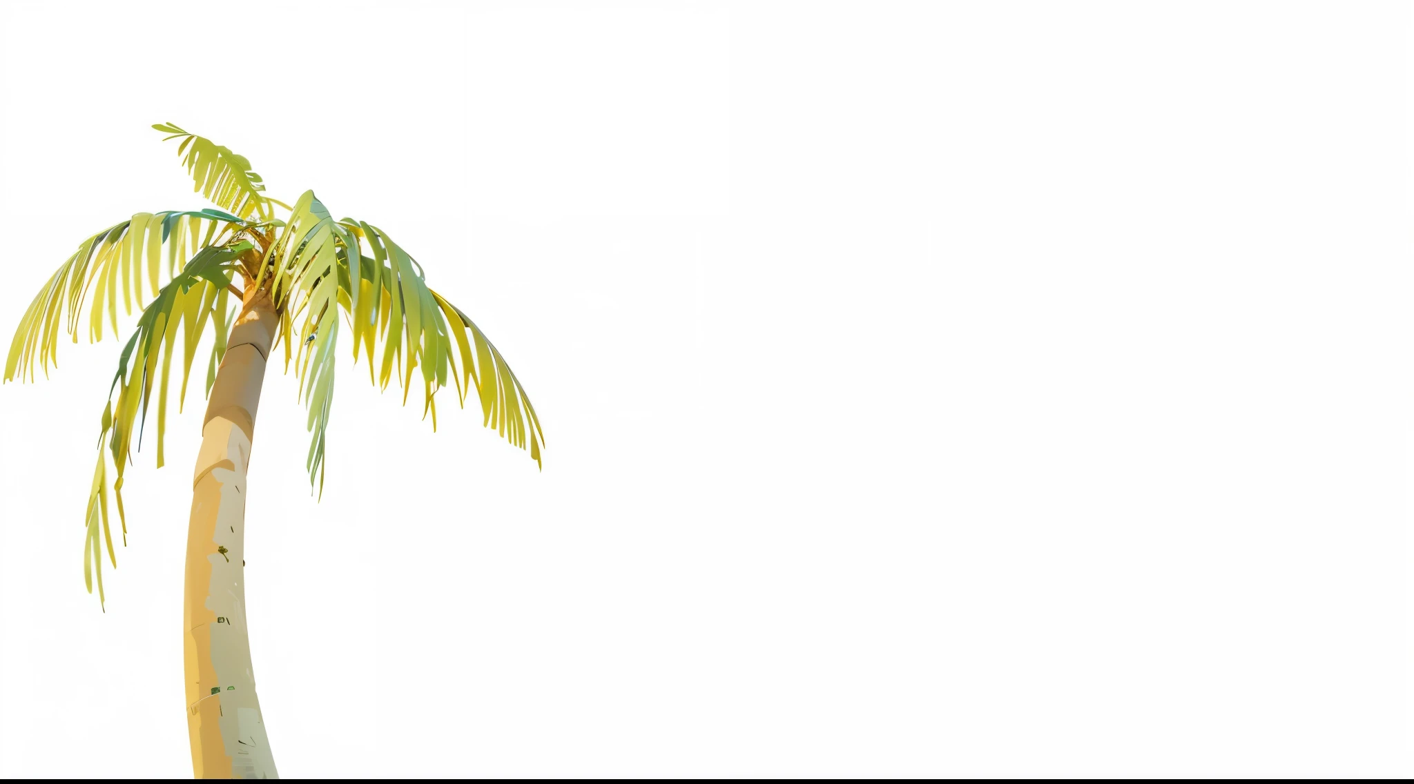 a tall palm tree, daytime, detailed, masterpiece, high quality,