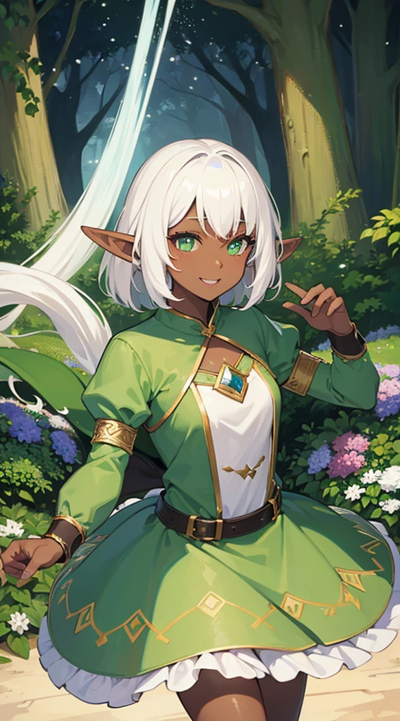 ((Dark Skin)),((Elf Woman)),((White Hair)),((Green Eyes)), ((Princess dress)),((Cheerful))