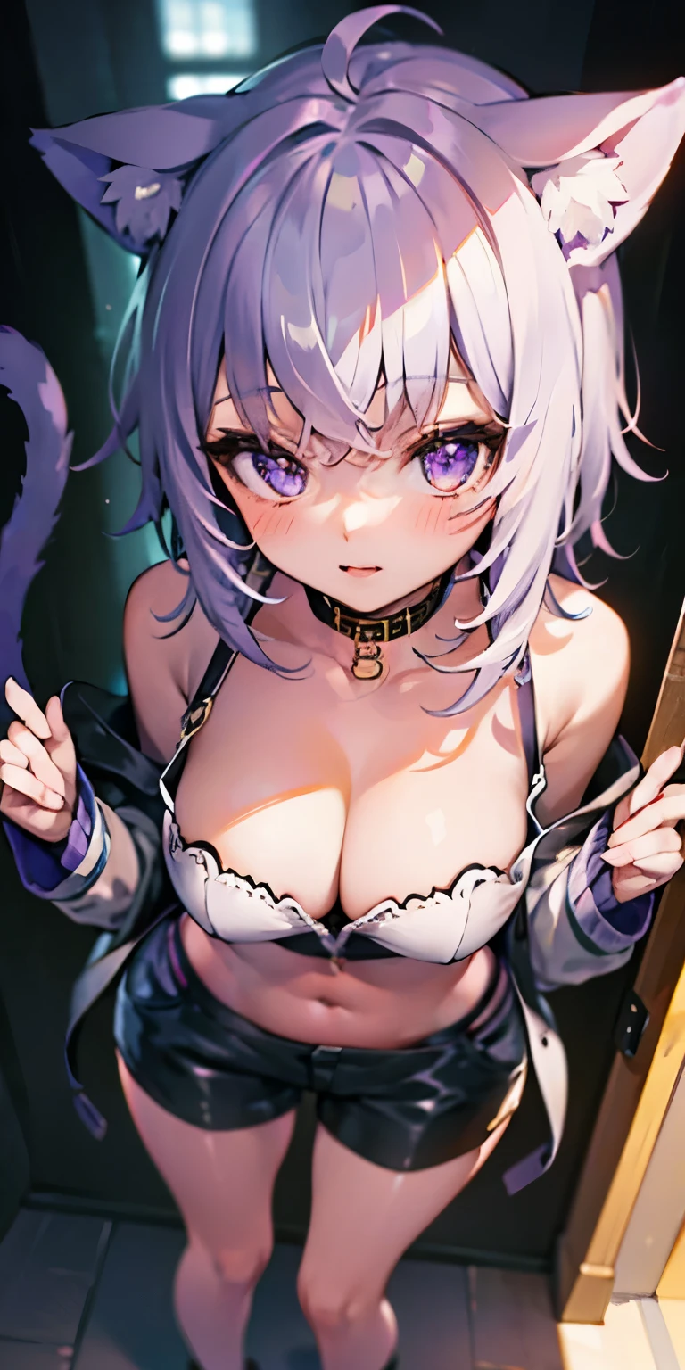 (masterpiece:1.6, best quality), (finely detailed beautiful eyes: 1.2), (Overhead view), high quality, beautiful face, 1girl, wide shot, white crop top, leather short shorts, oversized leather jacket, open shoulders, silver hair, large breasts, long hair, wide hips, (leaning to the side, ), street, background, detailed background, okayucasual, dress shirt, purple ribbon, naked shirt, open cardigan, cat tail, ahoge,purple eyes,collar,bare shoulders,breast cleavage,