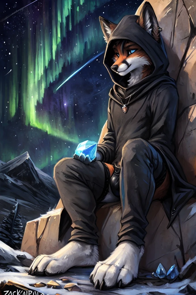 (((by fluff-kevlar, by Zackary911, by Kenket, by F-R95,))), High Frequency: 1.8, Best quality, Masterpiece, Rich Detail, 4K, posted to e621, a ((Fox)), ((detailed Fox)), sitting on a throne, wearing a long cloak, wearing a crystal pendant, wearing a scarf, wearing a black hood, wearing a black hoodie, wearing a black sweatshirt, ear piercings, blue eyes, sad expression, sad face, dark gray fur, white underbelly, (((Fox))), ((Fox tail)), long messy black hair, (black thigh highs), ((black thong)), front view, white fingers, white toes, perspective, finely detailed paws, punk style, snowing outside, shooting star, comet, aurora borealis, northern lights, white moon, dark_gray_fur, dark gray fur, white underbelly, white toes, white_toes, white fingers, white_fingers, night time, night, dark outside, dark_gray_fur, canine , small bulge, sexy, (((white toes))), (((white fingers))), ((long messy hair)), pondering a crystal ball, crystal horde, gem horde, surrounded by crystals, surrounded by gems, glowing blue eyes, holding a large aquamarine crystal, (((dark grey fur))), (((white underbelly))),