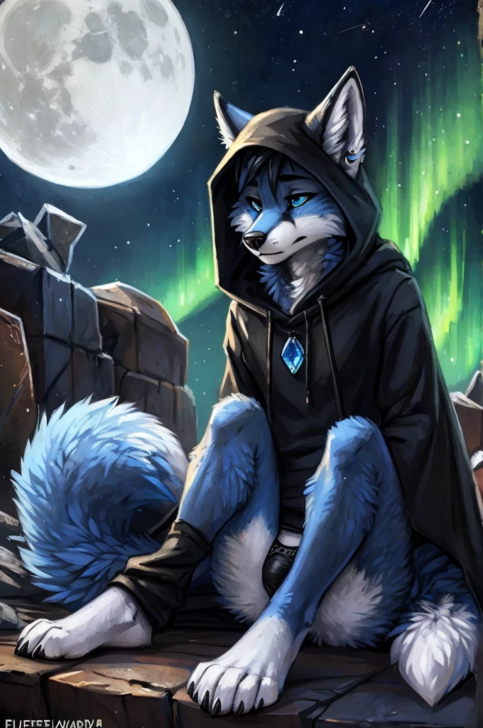 (((by fluff-kevlar, by Zackary911, by Kenket, by F-R95,))), High Frequency: 1.8, Best quality, Masterpiece, Rich Detail, 4K, posted to e621, a ((Fox)), ((detailed Fox)), sitting on a throne, wearing a long cloak, wearing a crystal pendant, wearing a scarf, wearing a black hood, wearing a black hoodie, wearing a black sweatshirt, ear piercings, blue eyes, sad expression, sad face, frown, frowning, crying, tears falling down, clenching chest, blue fur, white underbelly, (((Fox))), ((Fox tail)), long messy black hair, (black thigh highs), ((black thong)), front view, white fingers, white toes, perspective, finely detailed paws, punk style, snowing outside, shooting star, comet, aurora borealis, northern lights, white moon, dark_gray_fur, dark gray fur, white underbelly, white toes, white_toes, white fingers, white_fingers, night time, night, dark outside, blue_fur, fox, small bulge, sexy, (((white toes))), (((white fingers))), ((long messy hair)), pondering a crystal ball, crystal horde, gem horde, surrounded by crystals, surrounded by gems, glowing blue eyes, holding a large aquamarine crystal, looking at aquamarine crystal, (((blue fur))), (((white underbelly))), long fox tail, blue fur, blue_fur, white underbelly, blue fire, white moon, large moon, wearing black hood, wearing black sweatshirt, looking at the sky, looking up, sad face, sad expression, depressed,