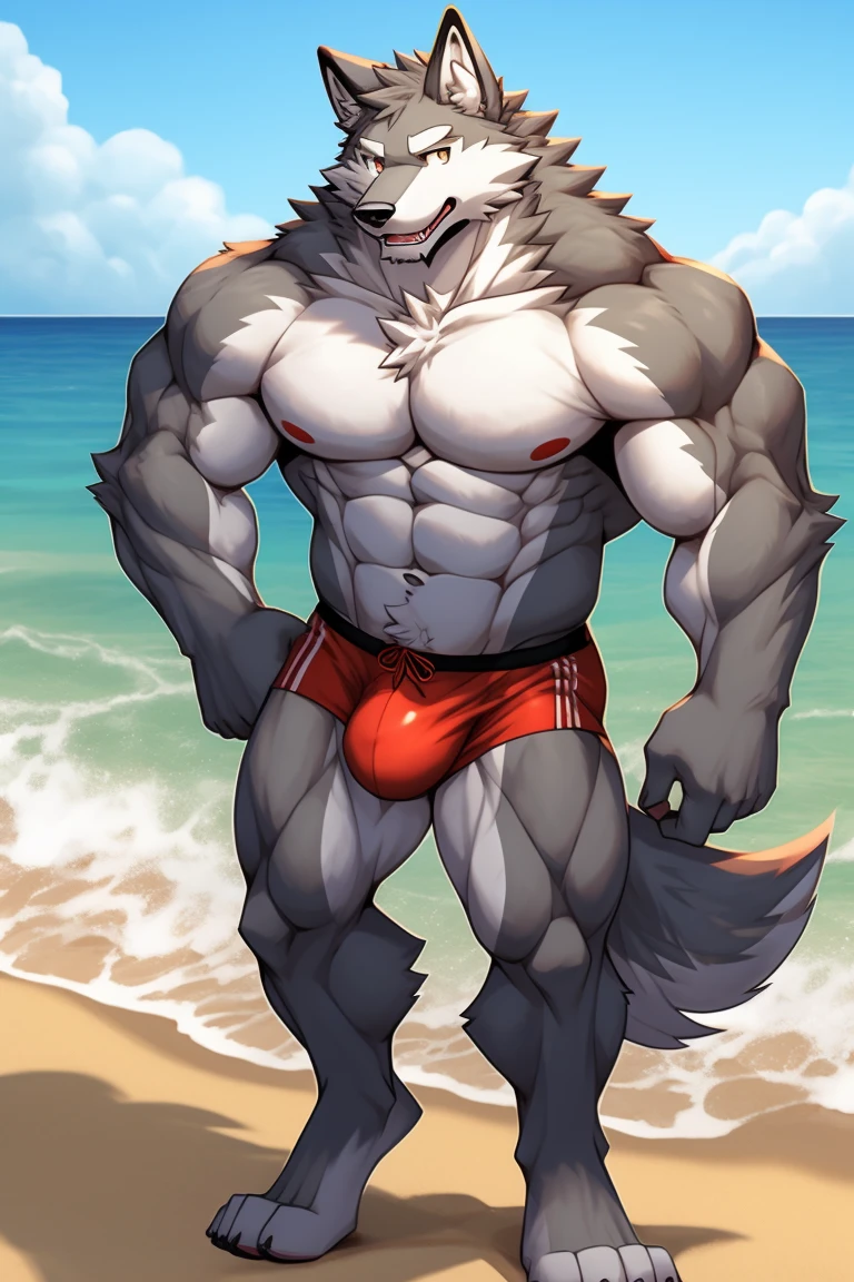 Muscular light gray wolf bulge with red swimwear on the beach
