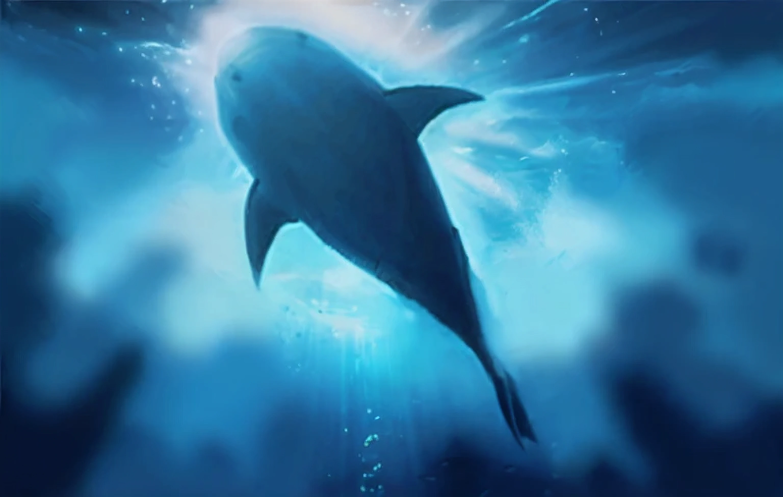 There is a big fish in the water,The light from the rear window is backlit