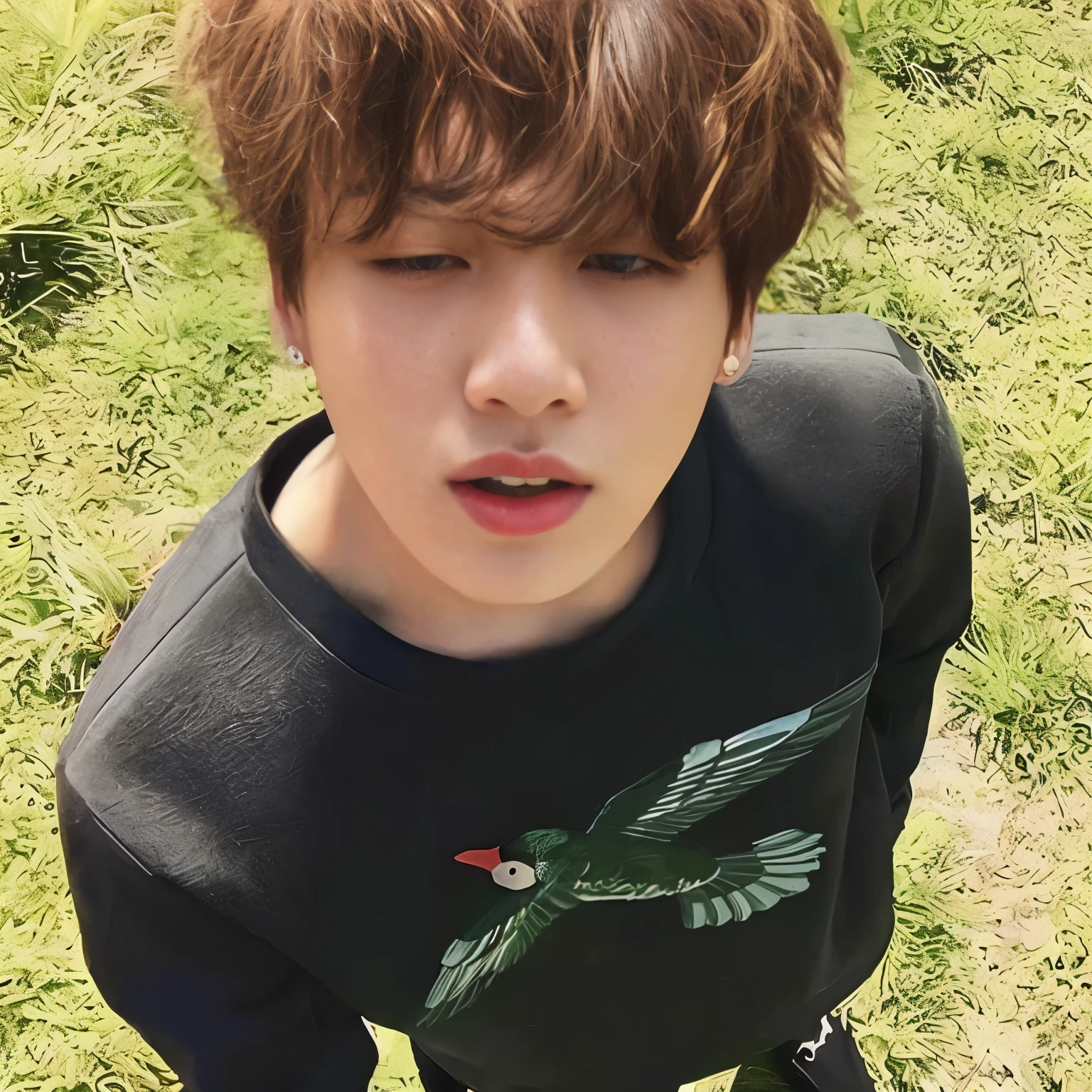 puffy boy in a black shirt and a green bird on the shirt, Jungkook, park Jimin, Yoongi de cabelos pretos, Jimin\Plump lips, Jimin, Jimin\'s right eyelid swollen, TaeJune Kim, Jimin\Nariz grego, accurate Jimin face, Hong June Hyung, Jovem Anjo Wan, Jinyoung Canela, Jung Jaehyun