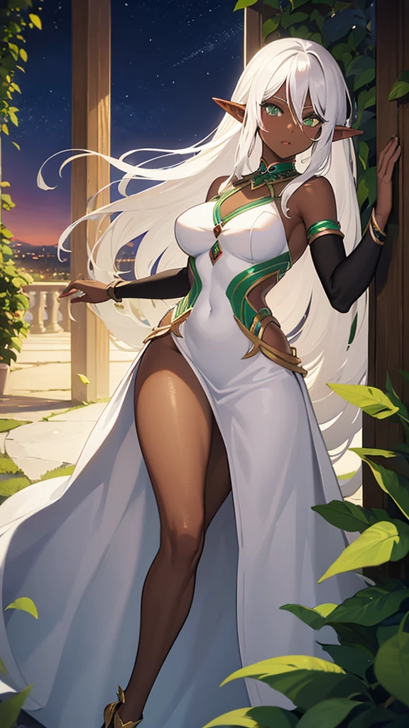 (((Elf Woman))),((Dark Skin)),((White Hair)),((Green Eyes)), ((sexy body)), ((Evening dress))