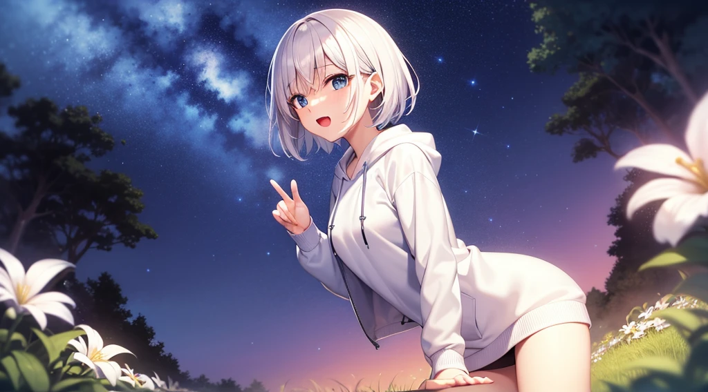 (masutepiece: 1.2, Best Quality), 1 Lady, Solo, silber hair,Shoulder out,Very short hair, long bangs between eyes, blue eyess,Black eyes, Hoodie,White hair, Silver hair, Hoodie, White hoodie、night sky full of stars、rays of moonlight、fountain in the forest、flower  field、open open mouth、5 fingers