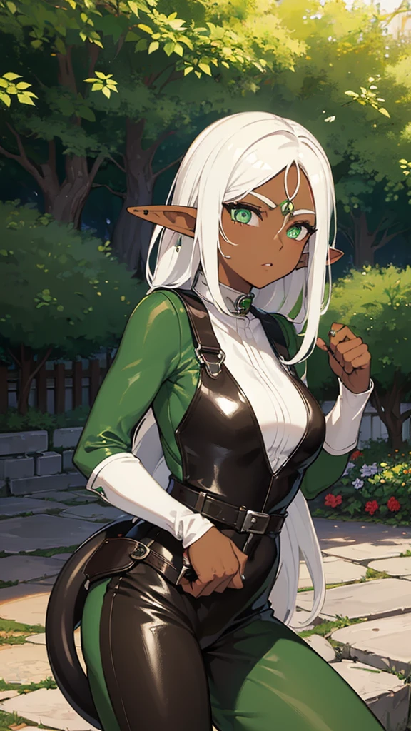(((Elf Woman))),((Dark Skin)),((White Hair)),((Green Eyes)), ((sexy body)), ((Dressing leather overall))