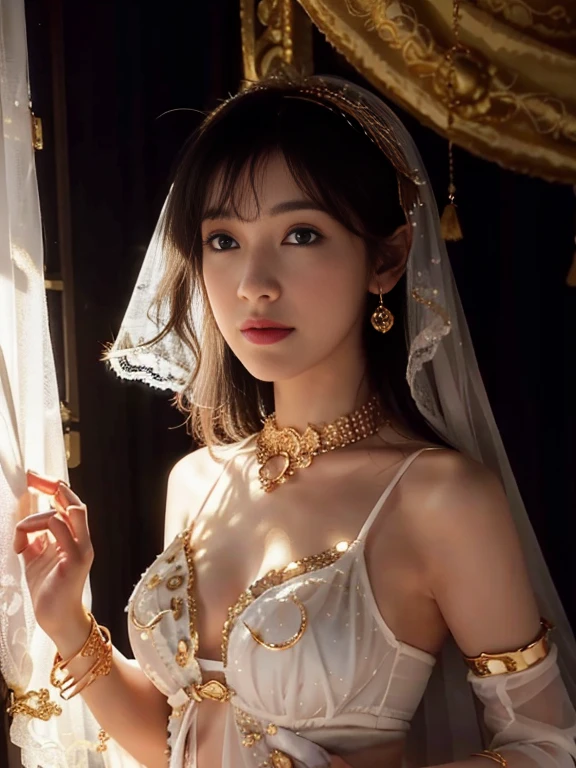 hide behind a lace curtain:1.2、silhuette:1.2、front facing、I can only see your face、Particles of light:0.5、(Sexy white belly dance costume with beautiful and luxurious decorations:1.5)、((Gold bangles and ankle rings with luxurious details)(Luxurious gold necklace with large gemstones)(gold circlet)(lace white veil)(Falling white petals:1.2)face perfect,flawless perfection,Colossal tits,Small breasts,drooping chest,slim,being thin,swollen breasts,crisp breasts while breastfeeding,lactation,small breasts with rounded upturn,