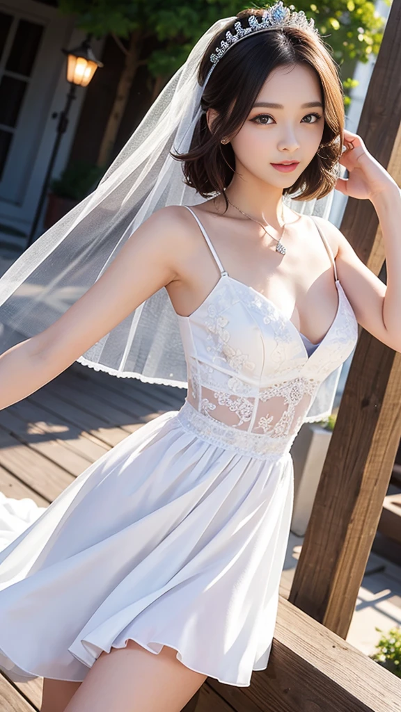 ((bestquality)), ((masterpiece)) Princess Wedding Dress, light rays, lens flare, Petals white., Long coated cat, foreign