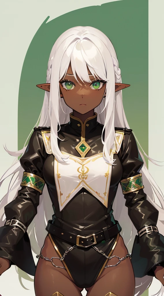 (((Very high image quality))),((Dark Skin)),(((Elf Woman))),(((White hair))),(((green eyes))),(((Seyxy body))),((Wearing leather clothing))