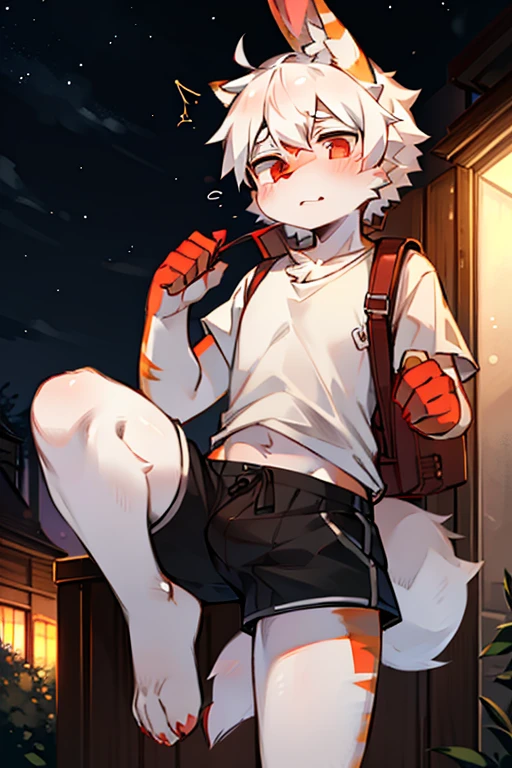 edgBunny,edgBunny族的物理特征，droopy rabbit ears，white T-shirt,outdoor,night,backpacks，opening legs，shorts, male, anthro, furry,by milkytiger1145，White hair，Red pick dye，red eyes，adolable，resist，is shy，stop