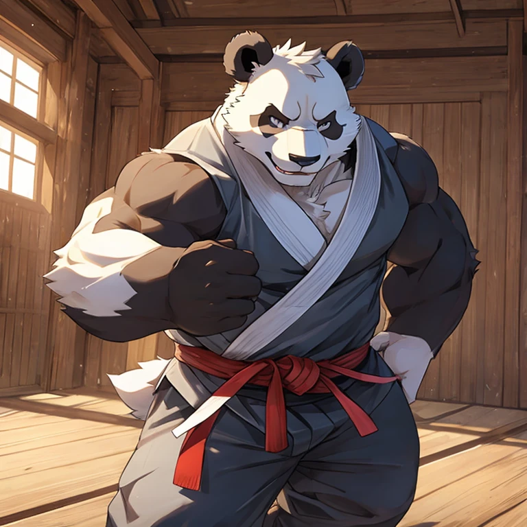 a panda,strong,Detailed character details,judo