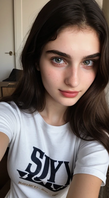 ((Front facing camera selfie)), 18 yo girl named Zahra Amiri, (straight nose), (prominent nose bridge), (female face golden ratios:1.15), long dense dark brown hair, (pale skin:1.25), (hazel eyes), thin eyebrows, high cheekbones, beautiful plump lips, big natural breasts, wearing tshirt, apartment background, smirk