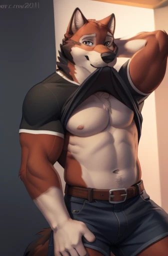 leo alvarez, muscular, bara, wolf tail, (posing:1.3), (soft shading), 4k, hi res, five fingers, detailed hands, ((detailed face, (detailed eyes:1.0), detailed)), by zackarry911, by zaush, (by personalami:0.5), solo, looking at viewer, short hair, shirt, 1boy, navel, nipples, full body, male focus, thighs, belt,  stomach, clothes lift, black shirt, kneeling, mouth hold, shirt lift, thick thighs, abs, denim, lifted by self, arm behind head, bulge, bare pectorals, seductive smile, clothes in mouth, shirt in mouth,  erect, penis